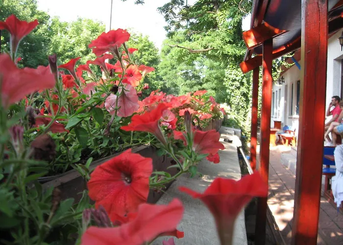 梅迪奇酒店 酒店