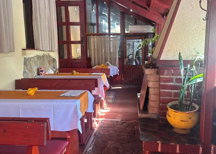 酒店 梅迪奇酒店 索菲亞