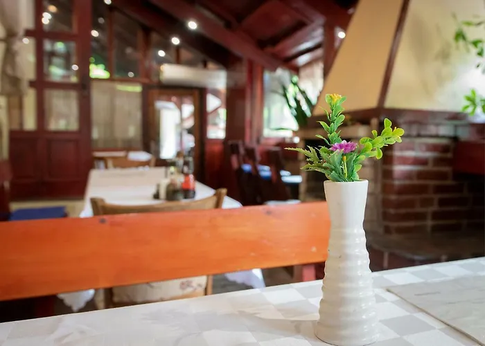 梅迪奇酒店 酒店 索菲亞